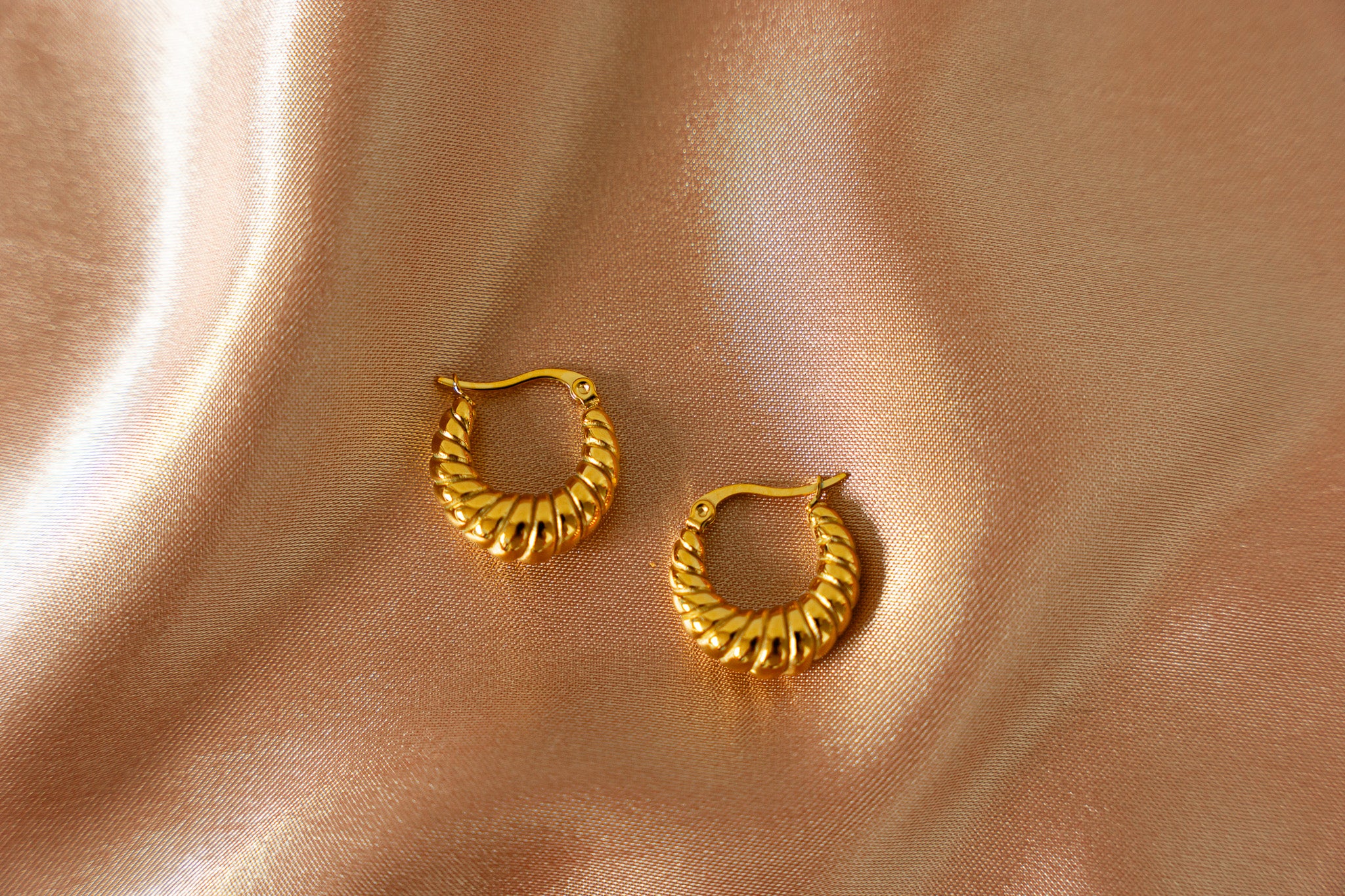 Camille Croissant Twisted Hoops