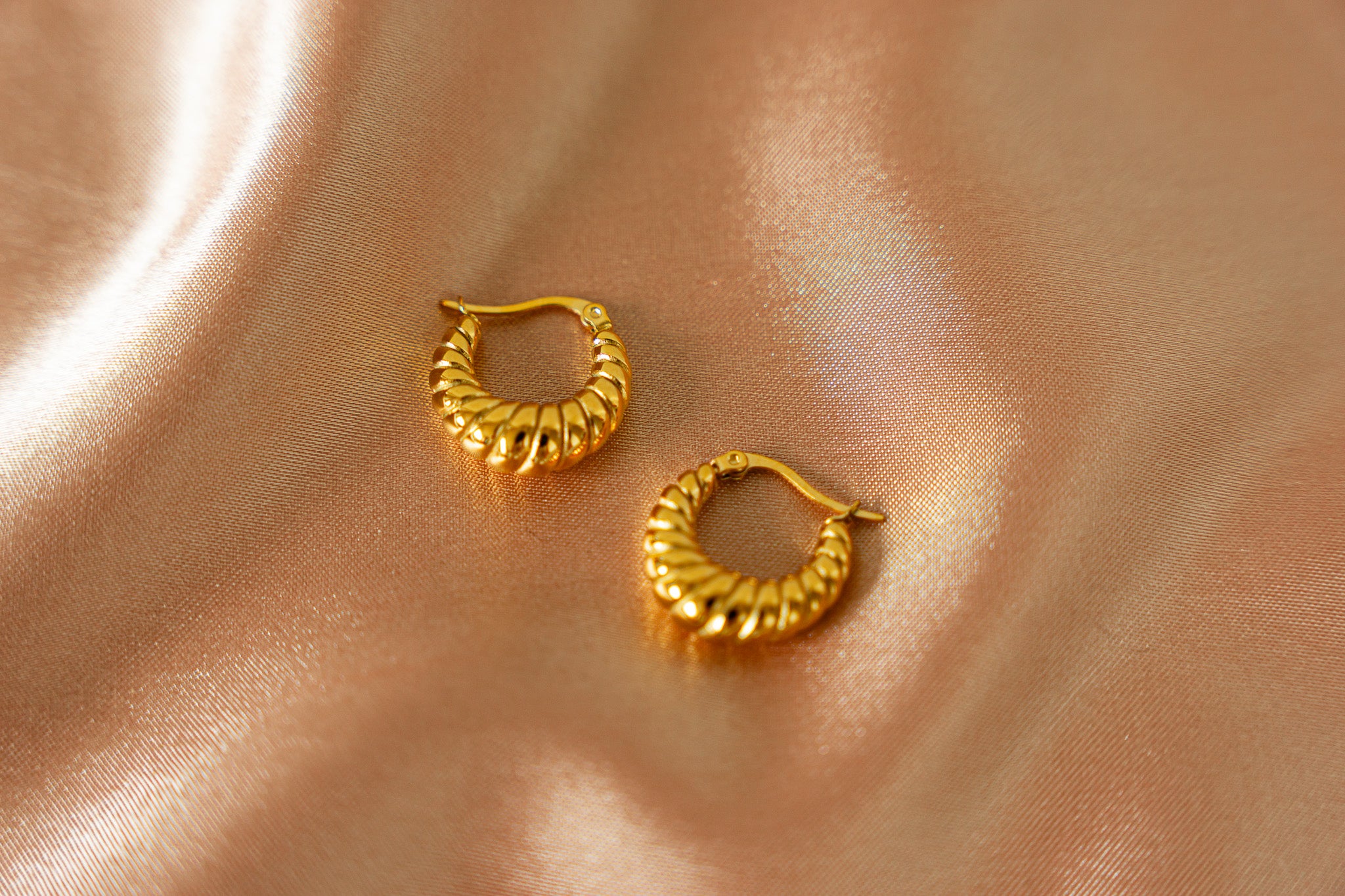 Camille Croissant Twisted Hoops